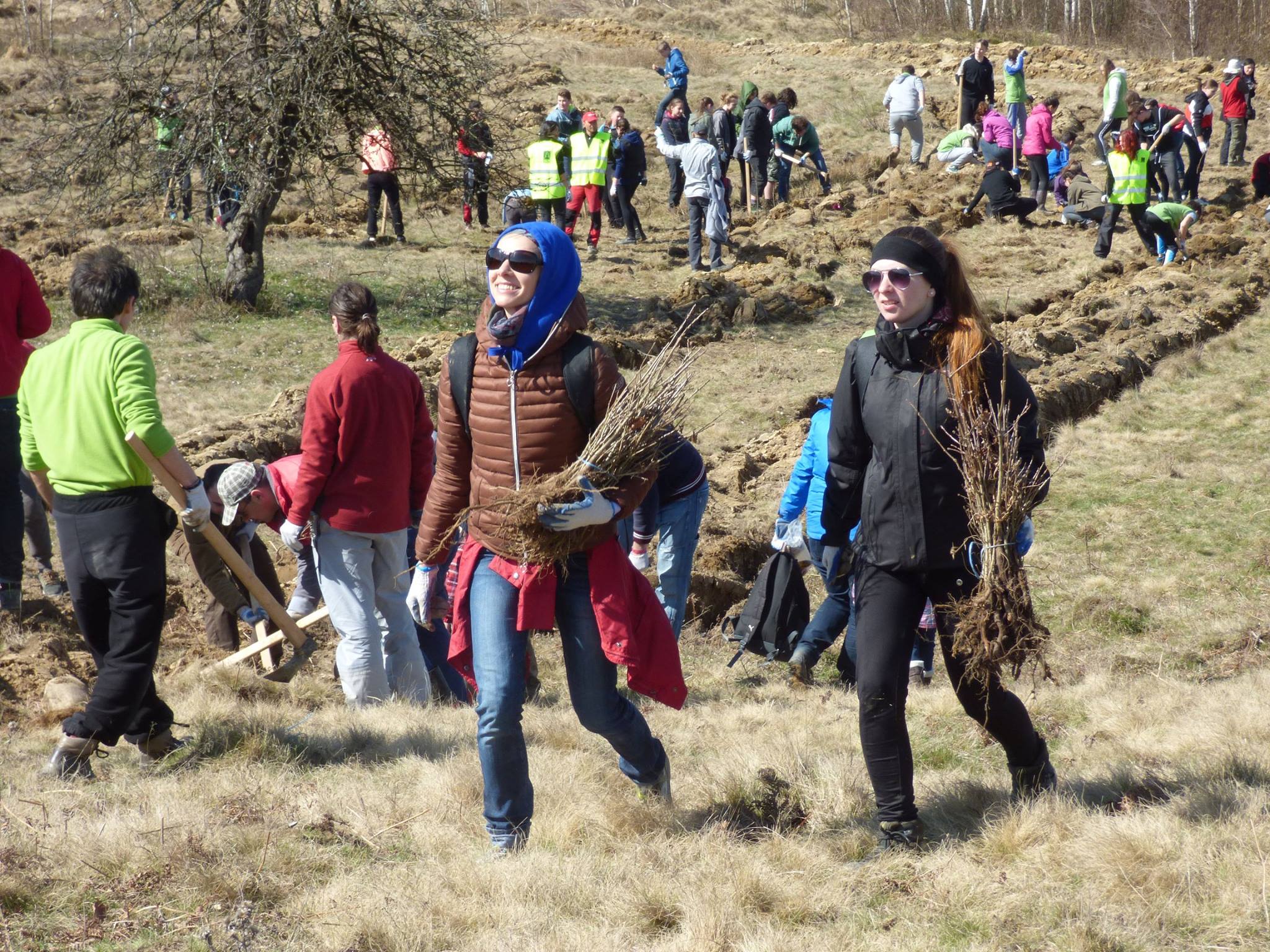 Arpasu 2016 Preview 1